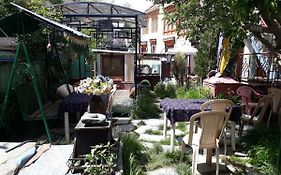 Gonbo Guest House